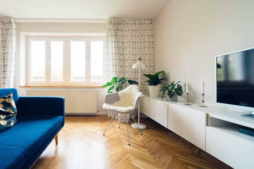 Clean living room with sofa and plants
